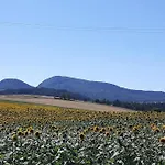L'ange : Entre Monts Et Vallées *