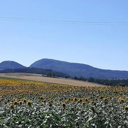 L'ange : Entre Monts Et Vallées *