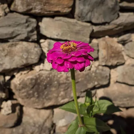 Сasa de vacaciones L'ange : Entre Monts Et Vallées *