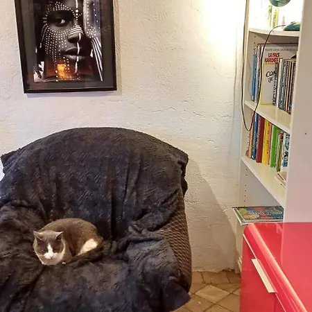 L'ange : Entre Monts Et Vallées *